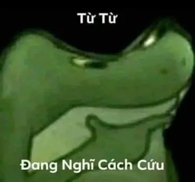 ảnh meme hết cứu ếch xanh từ từ đang nghĩ cách cứu