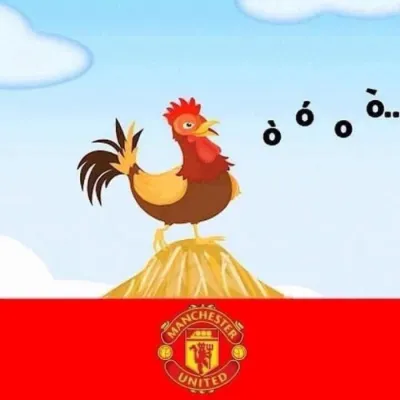 ảnh meme gà fan MU gáy ò ó o