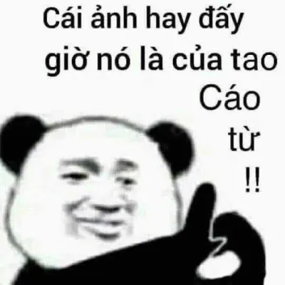 ảnh meme bựa gấu trúc tàu khựa ảnh hay đấy, giờ nó là của tao