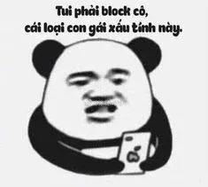 Ảnh meme gấu trúc tàu khựa tui phải block cô, cái loại con gái xấu tính này