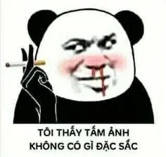 Ảnh meme gấu trúc cầm điếu thuốc và nói tôi thấy tấm ảnh này không có gì đặc sắc