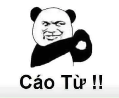 ảnh meme gấu trúc tàu khựa cáo từ bựa