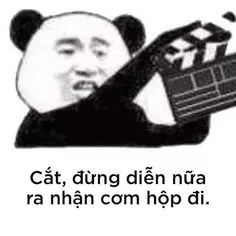 Ảnh meme gấu trúc tàu khựa cắt đừng diễn nữa, ra nhận hộp cơm đi
