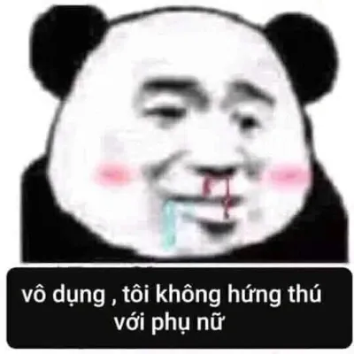 ảnh meme bựa gấu trúc tàu khựa chảy máu mũi nói vô dụng, tôi không hứng thú với phụ nữ