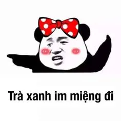 Ảnh meme gấu trúc tàu khựa chỉ tay chửi trà xanh im miệng đi