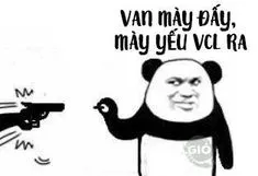 Ảnh meme gấu trúc tàu khựa van mày đấy, mày yếu vcl ra
