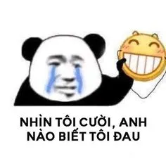 Ảnh meme gấu trúc tàu khựa nhìn tôi cười anh nào biết tôi đau