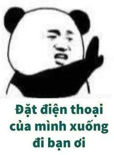 Ảnh meme gấu trúc tàu khựa đặt điện thoại của mình xuống đi bạn ơi