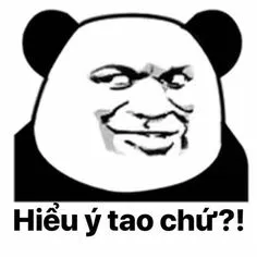 Ảnh meme gấu trúc tàu khựa hiểu ý tao chứ