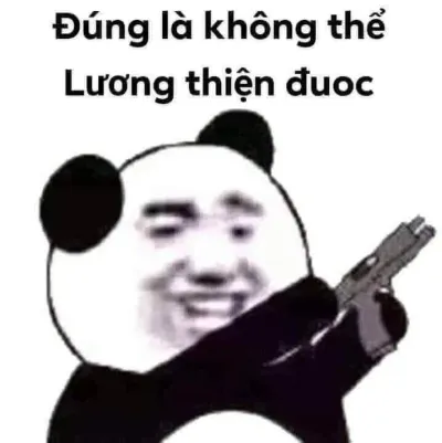 ảnh meme gấu trúc tàu khựa đúng là không thể lương thiện được