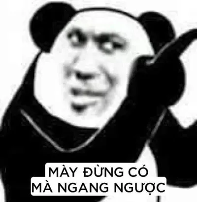 ảnh meme bựa gấu trúc tàu khựa mày đừng có mà ngang ngược