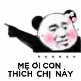 ảnh meme gấu trúc tàu khựa mẹ ơi con thích chị này bựa