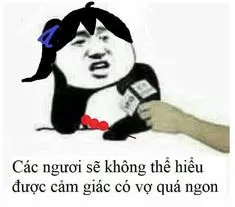 Ảnh meme gấu trúc tàu khựa trả lời phỏng vấn nói các ngươi sẽ không thể hiểu được cảm giác có vợ quá ngon