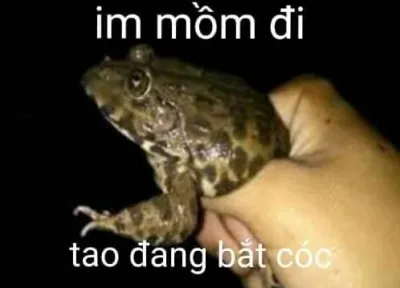ảnh meme im mồm đi tao đang bắt cóc
