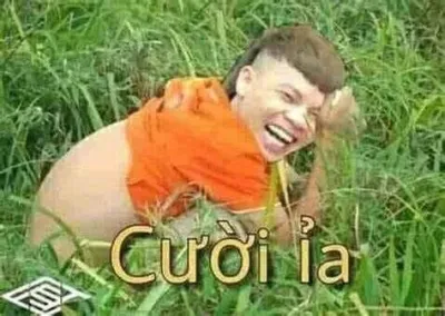 ảnh meme khá bảnh cười ỉa trên bụi cỏ