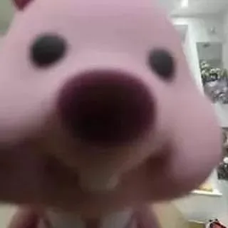 ảnh meme hài hước Loppy dán mặt vào màn hình
