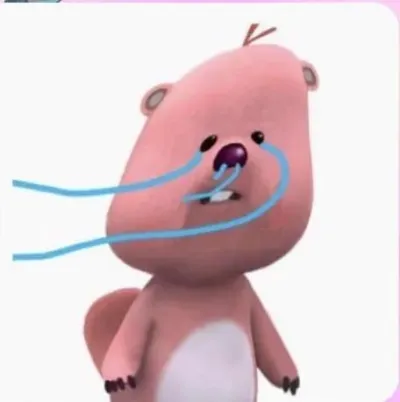ảnh meme Loppy khóc nước mắt nước mũi bay dài theo gió