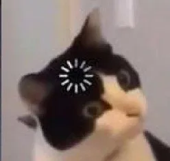 ảnh meme cute mèo bị lag chưa hiểu chuyện gì xảy ra