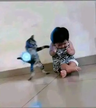 Ảnh meme mèo đang vận công bên chú bé