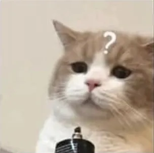 ảnh meme mèo hỏi chấm vẻ mặt khó hiểu