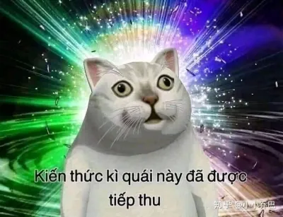 ảnh meme mèo hài hước kiến thức kì quái này đã được tiếp thu