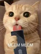 meme cute mèo liếm màn hình điện thoại mlem mlem