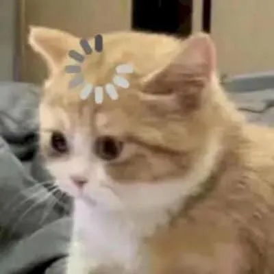 ảnh meme mèo loading cute