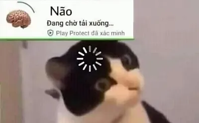 Ảnh meme mèo não đang chờ tải xuống