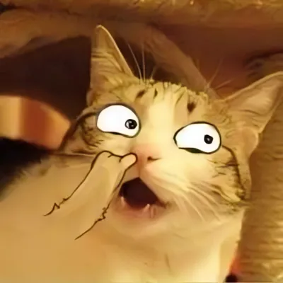 ảnh meme mèo ngoáy mũi hóng hớt