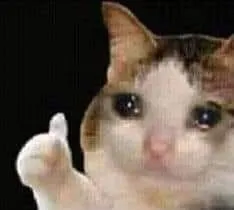 ảnh meme mèo thả like với khuôn mặt dưng dưng cảm động như sắp khóc
