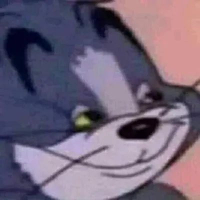 ảnh meme mèo Tom đắc ý