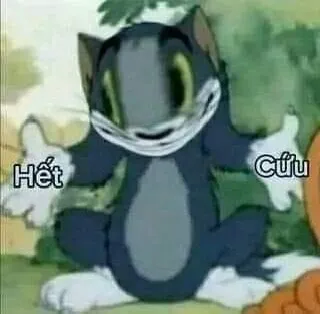 ảnh meme mèo Tom hết cứu