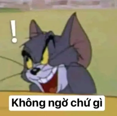 Ảnh meme Mèo Tom không ngờ chứ gì