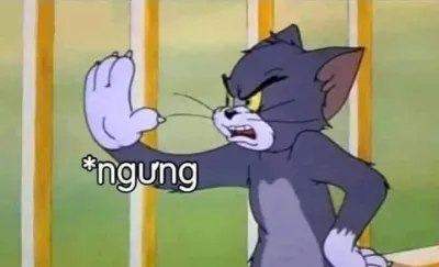 ảnh meme mèo Tom nói ngưng