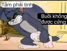 ảnh meme bựa mèo Tom tâm phải tịnh