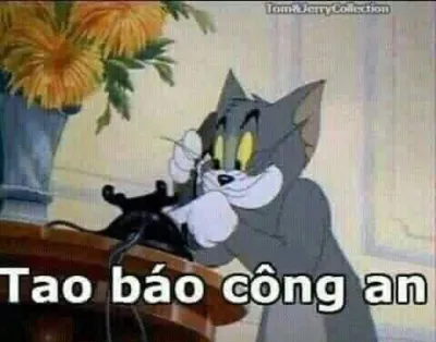 Ảnh meme mèo Tom tao báo công an