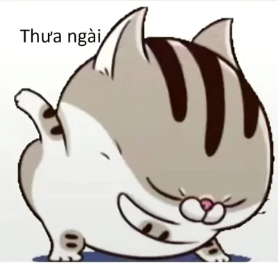 Ảnh meme mèo ú thưa ngài