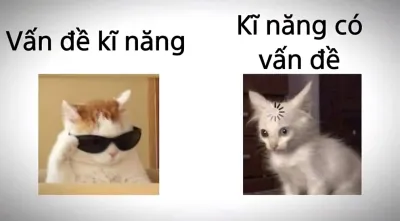 Ảnh meme mèo vấn đề kĩ năng và kĩ năng có vấn đề