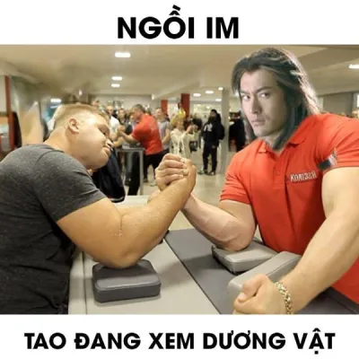 ảnh meme chơi chữ ngồi im, tao đang xem dương vật