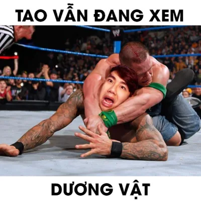 ảnh meme chơi chữ tao vẫn đang xem dương vật