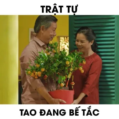 ảnh meme chơi chữ trật tự, tao đang bế tắc