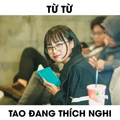 ảnh meme chơi chữ từ từ, tao đang thích Nghi