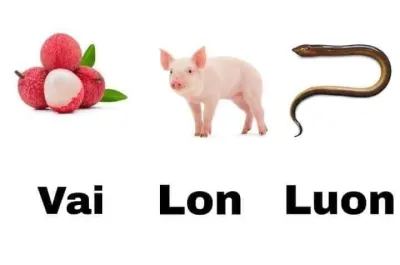 Ảnh meme vai lon luon
